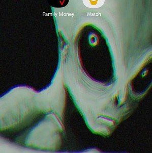 Meet your Posher, Benjamin